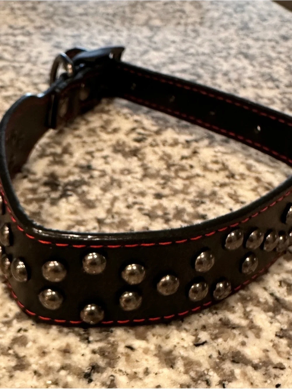 Black Studded DOG Collar Red Stitching